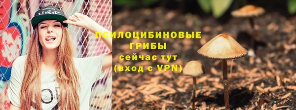 дживик Балахна
